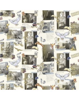 Tissu Harry Potter